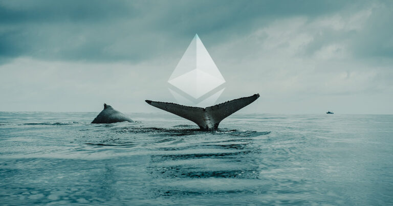 Ethereum Accumulation In Top Gear As Whale Holdings Hit New ATH