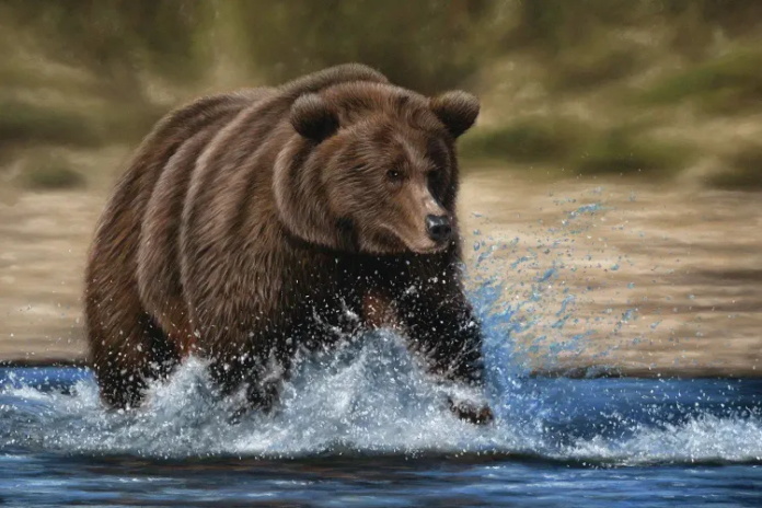 btc-bear1.png