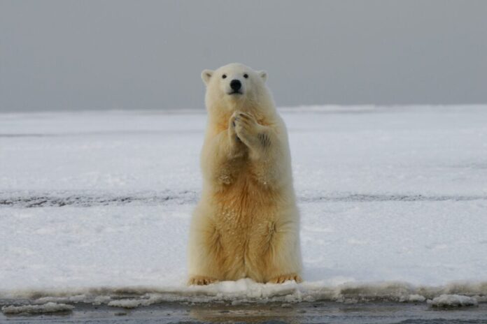 hans-jurgen-mager-AZ31hv9kdzE-unsplash-980x653.jpg