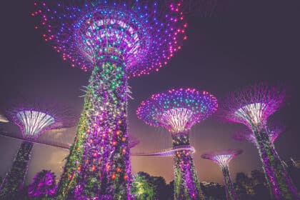 1678876570_binance-revive-registration-singapore-420x280.jpg