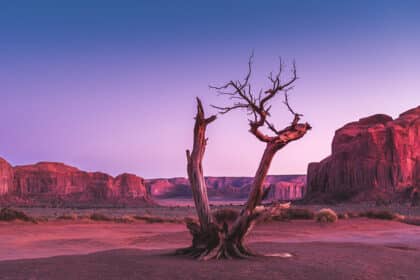 Gemini Launches Non-US Derivatives Platform Dubbed Gemini Foundation