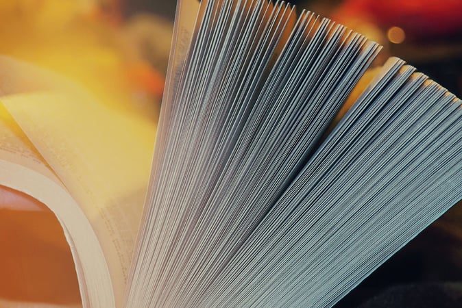 Bitwise Makes 40-Page Addition to Its Spot Bitcoin ETF Application