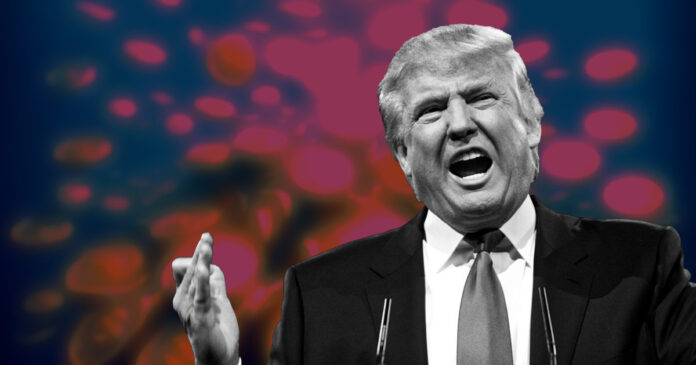 donald-trump-token.jpg