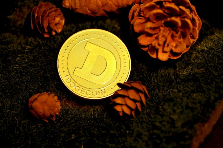 Dogecoin Wallets Just Hit A New All-Time High, But Why Is Price Struggling?