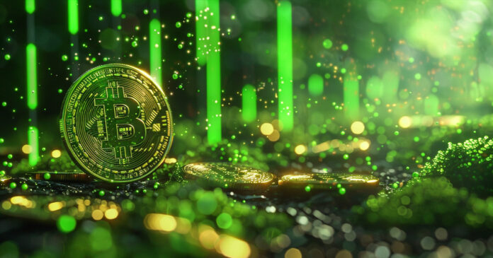 bitcoin-pullback-bull.jpg
