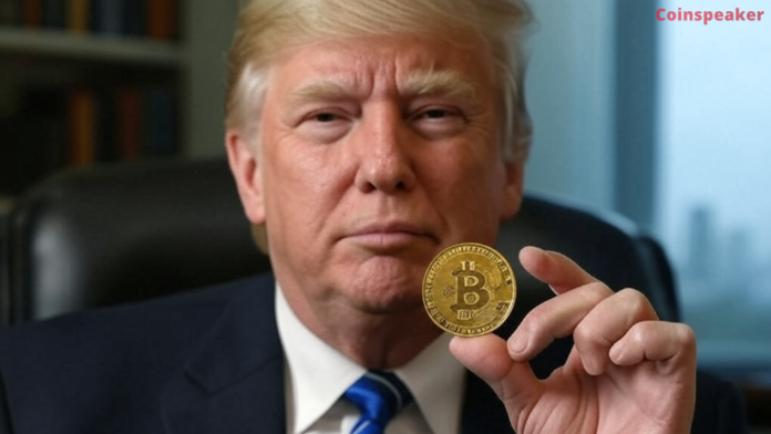trump_bc_optimized.png