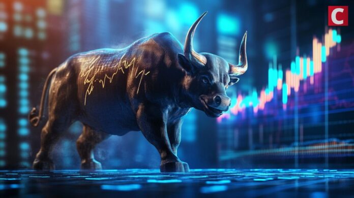 bull_optimized.jpg